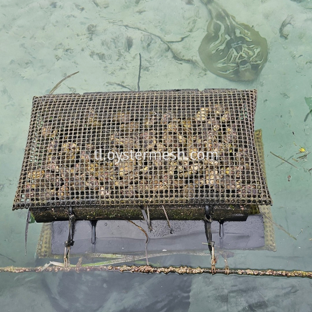 9mm Foam Oyster Mesh Bag